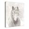 Horse With Flower Crown 24" x 30" Canvas Wall Art